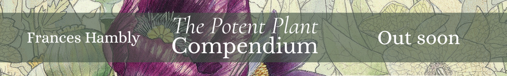 potent plant c banner out soon